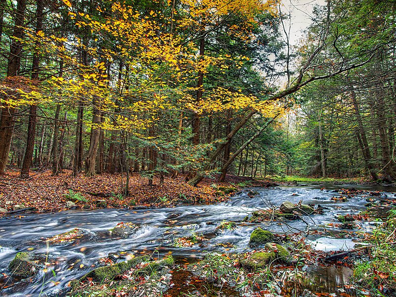 Rock Hill New York, Stati Uniti d'America Sygic Travel