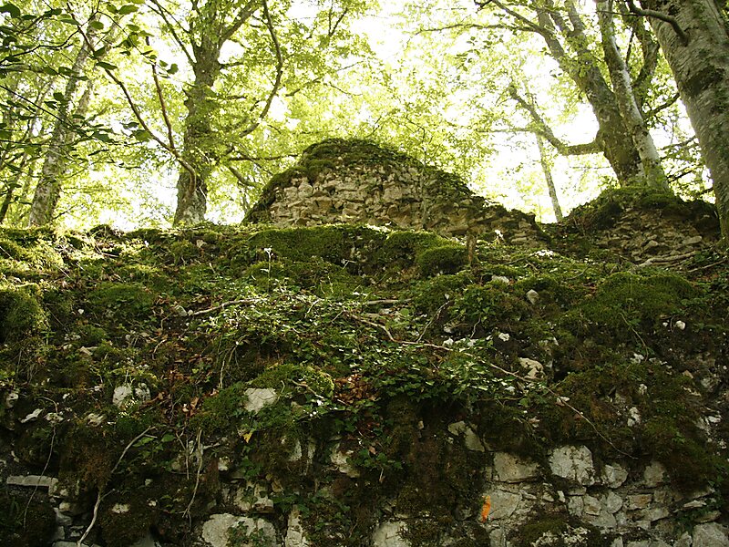 Château de Rougemont