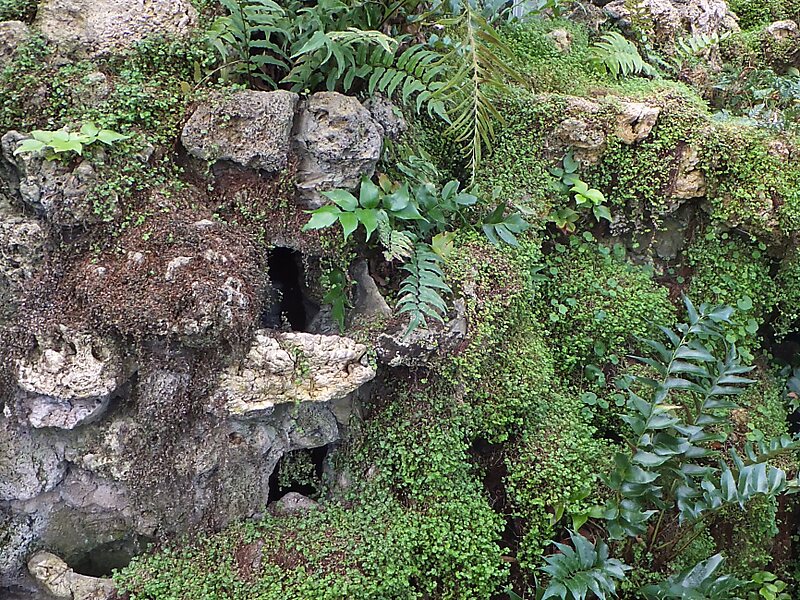 Anna Scripps Whitcomb Conservatory