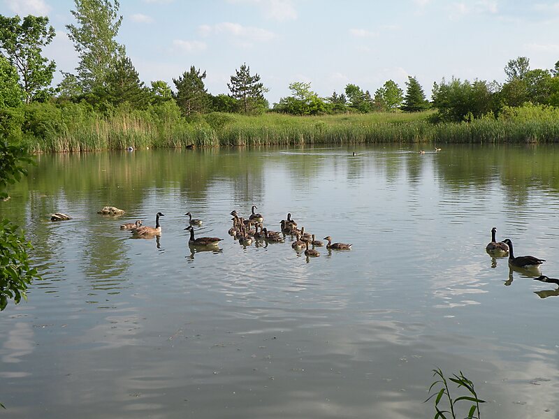 Colonel Samuel Smith Park
