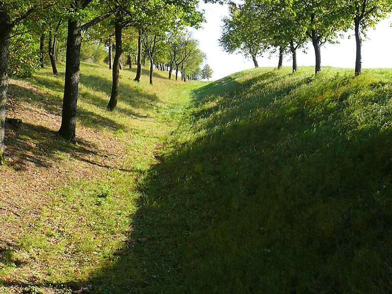 Keltisches Oppidum Finsterlohr-Burgstall