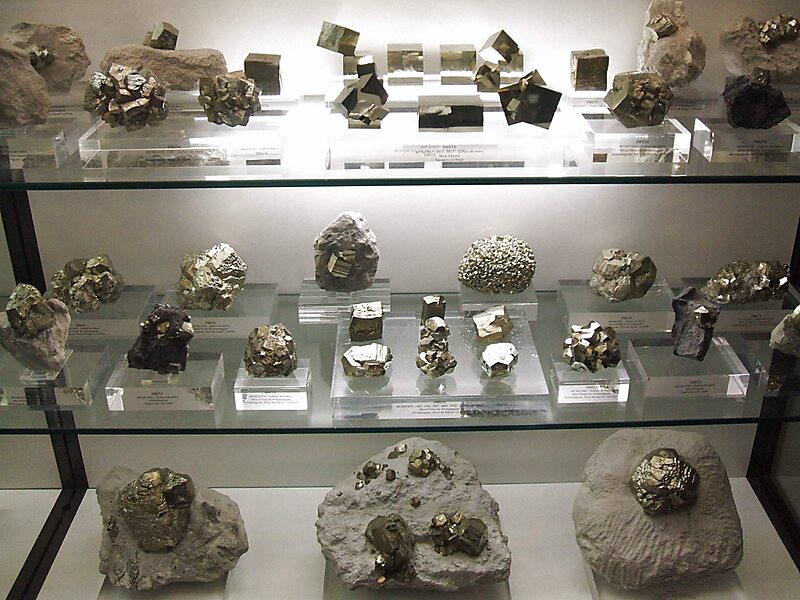 Musée des sciences naturelles d'Alava