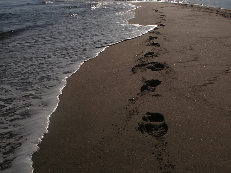 Platja de l'Estartit