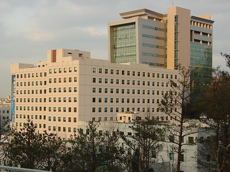 Université catholique de Corée