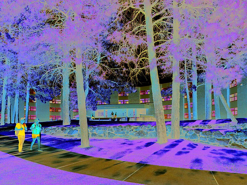 Universidade do Norte do Arizona