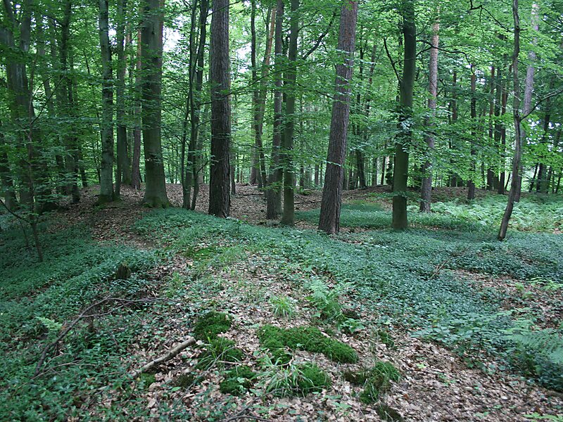 Römerkastell "Hunnenkirchhof"