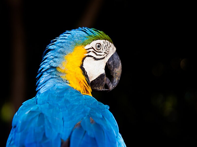 Parque Nacional da Serra da Bodoquena