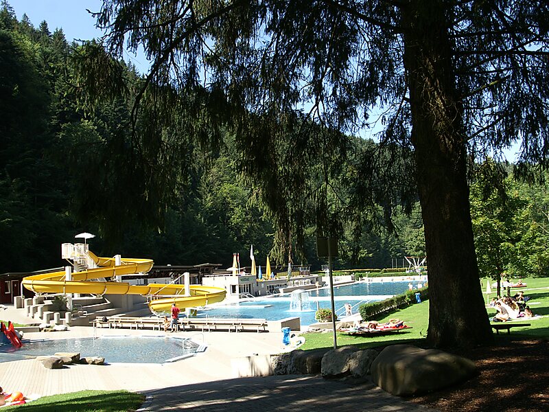 Waldbad Enz