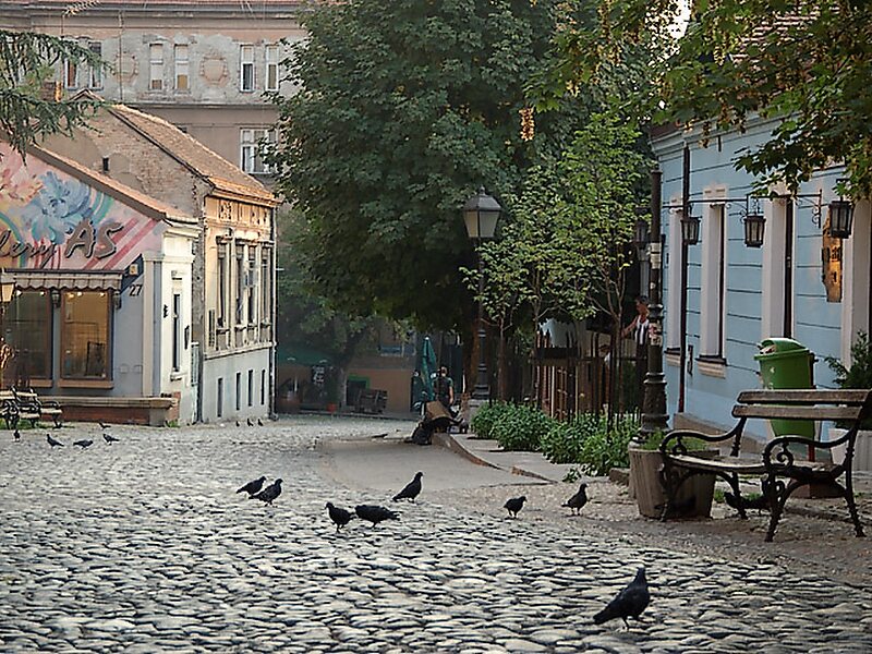 Skadarska Street