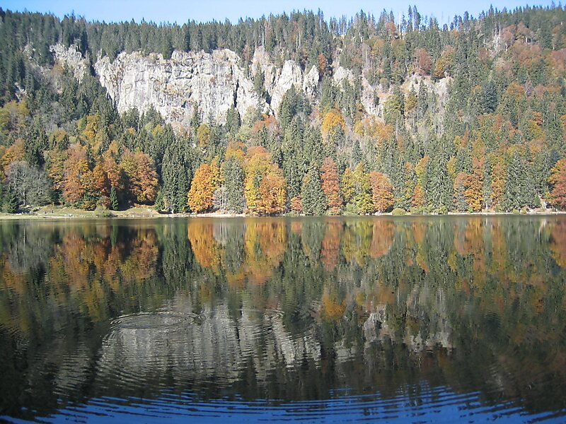 Feldsee