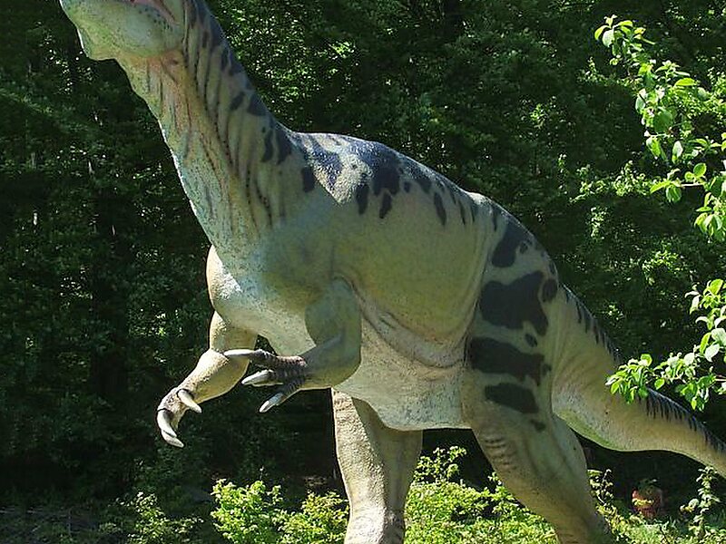 Muzeum Ziemi w Kletnie