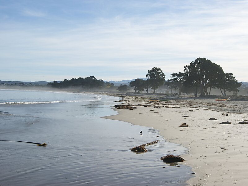 Monterey State Beach
