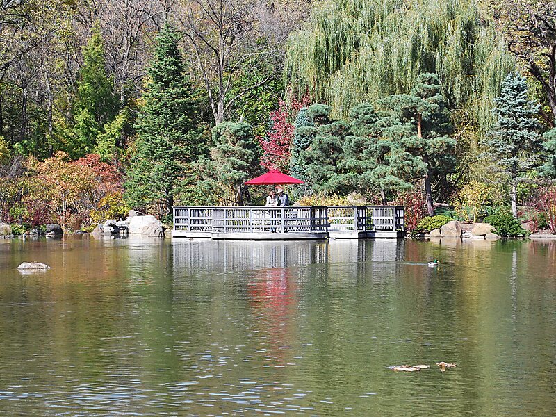 Anderson Japanese Gardens In Rockford Illinois United States