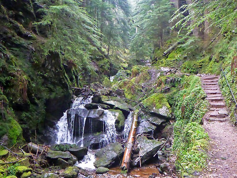 Puck's Glen
