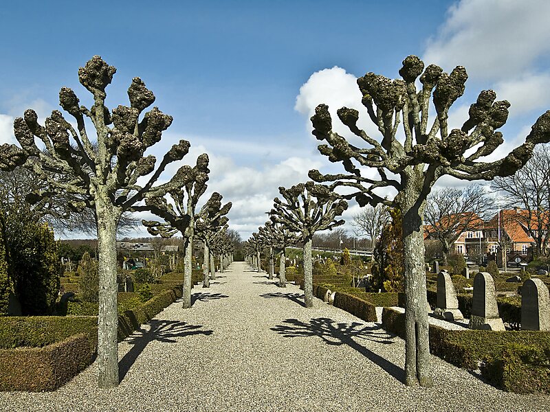 Bedfont Cemetery in London, Vereinigtes Königreich | Sygic Travel