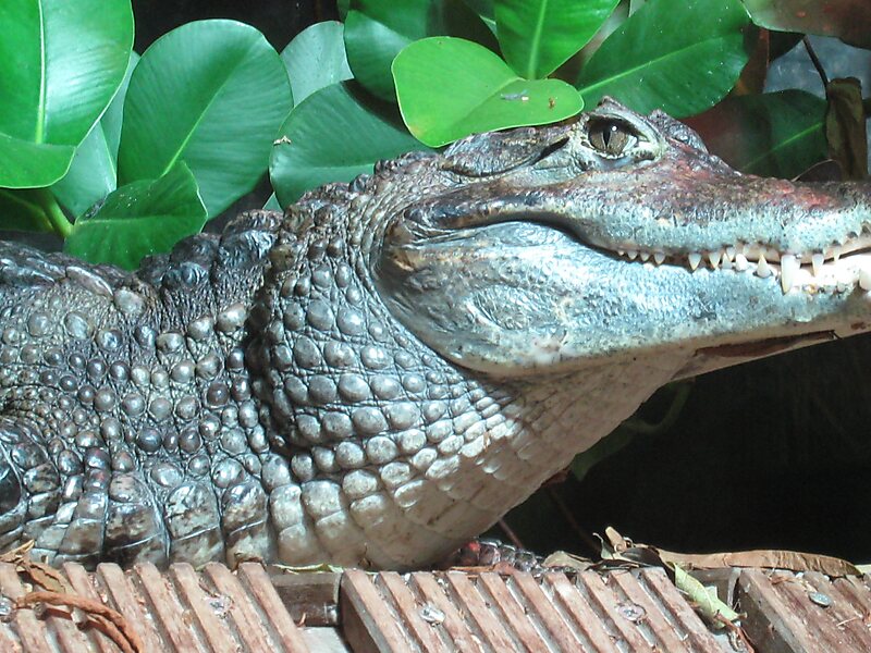 Nausicaá Centre National de la Mer