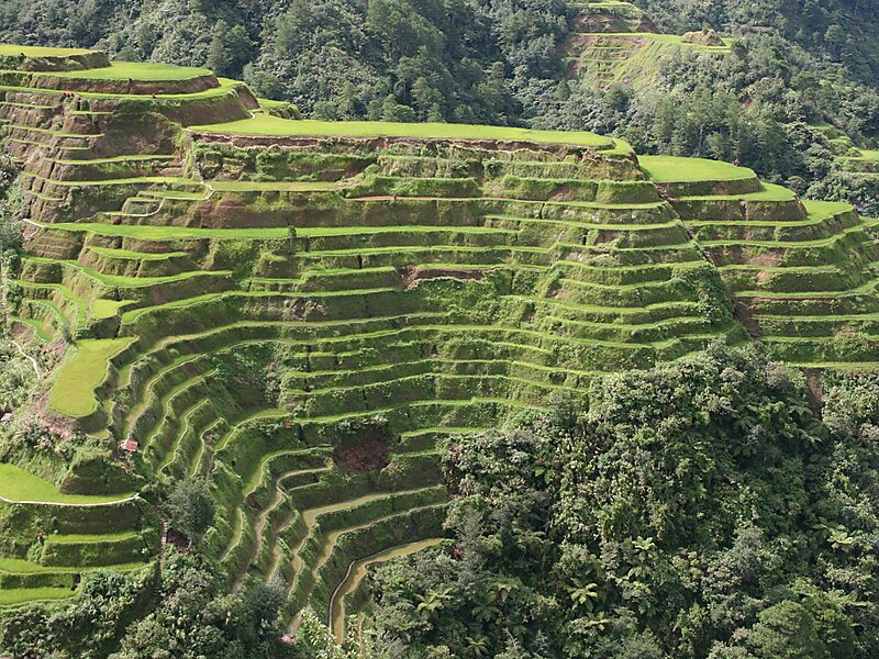 Rizières de Banaue