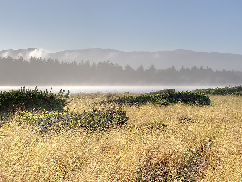 Izembek National Wildlife Refuge