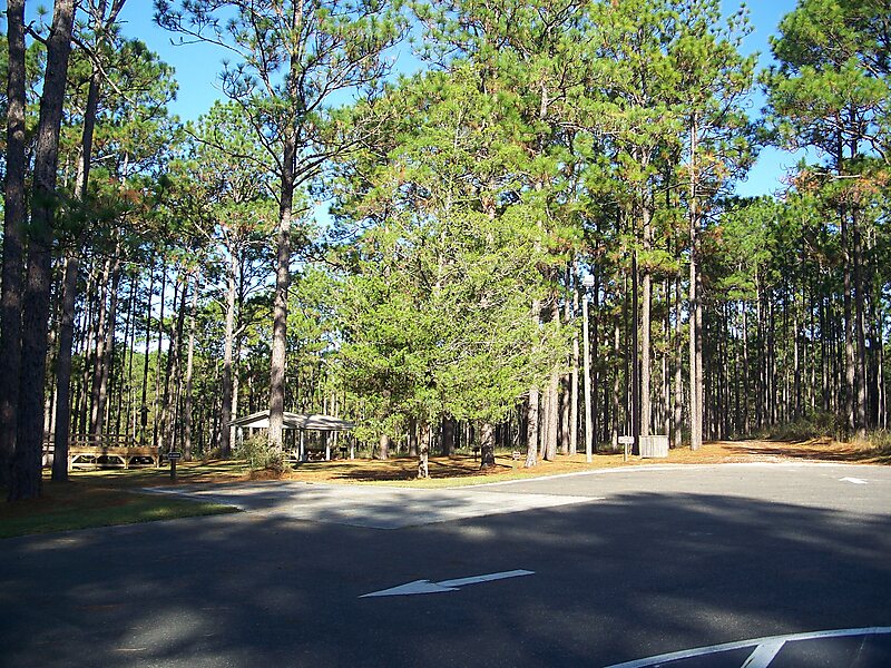 Falling Waters Preserve