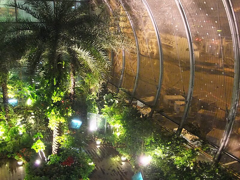 Changi Airport Terminal 4