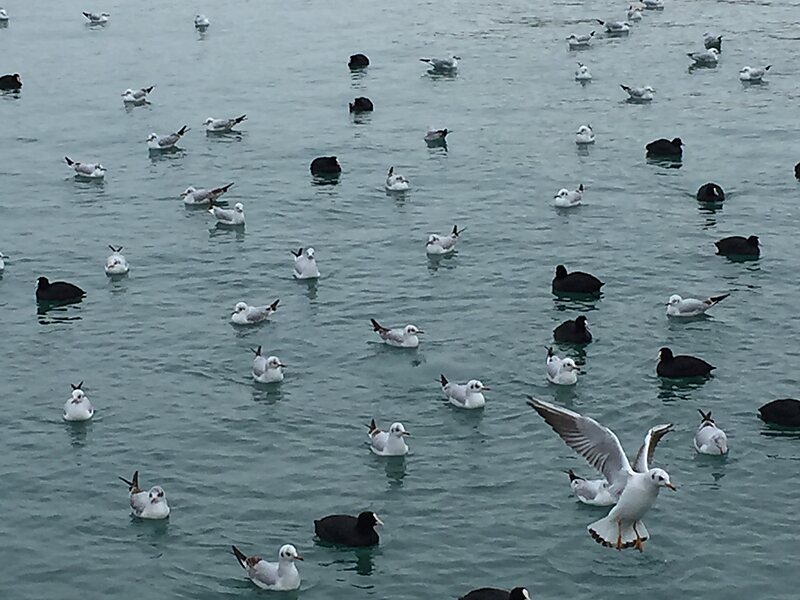 Sochi Seaport Building