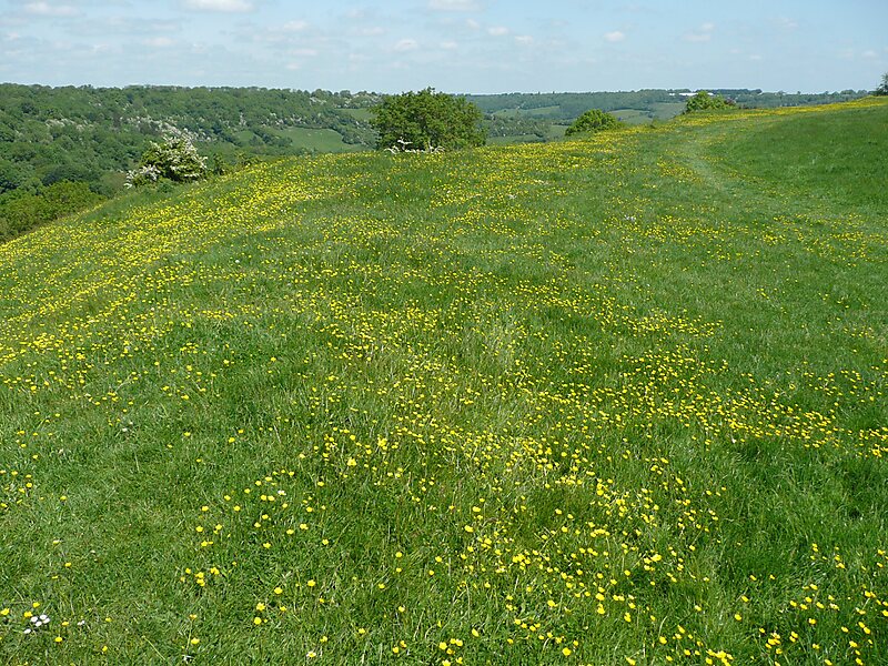 Little Solsbury Hill