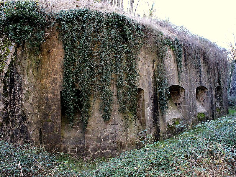 Fort de Feyzin
