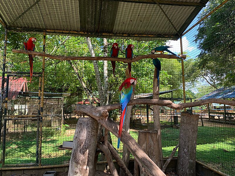 Paramaribo Zoo