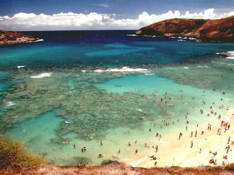 Hanauma Beach