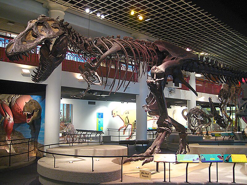 Académie des sciences naturelles