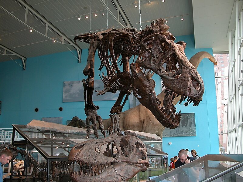 Maryland Science Center 