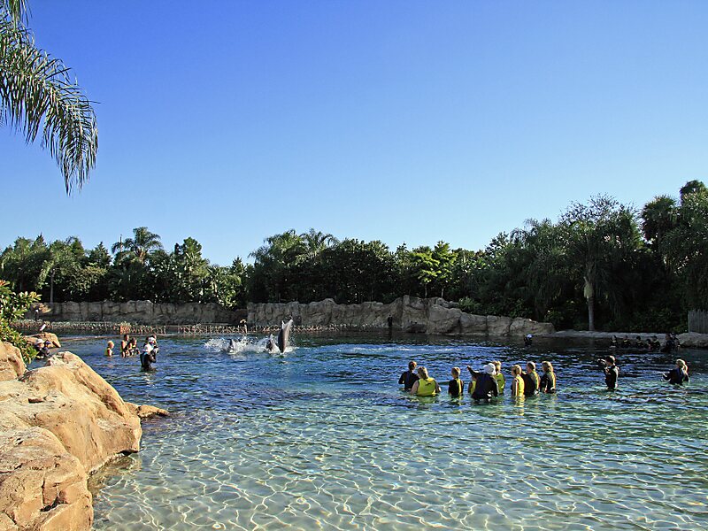 Discovery Cove