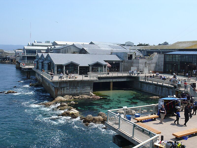 Monterey Bay Aquarium