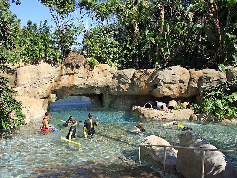 discovery-cove-in-orange-county-florida-united-states-sygic-travel