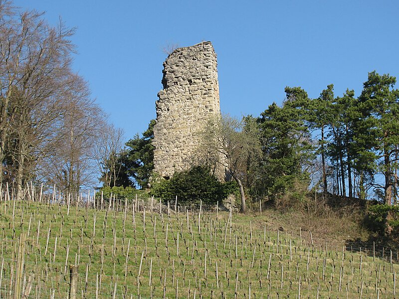 Burg Grimmenstein