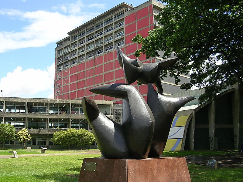 Risultati immagini per università centrale del venezuela