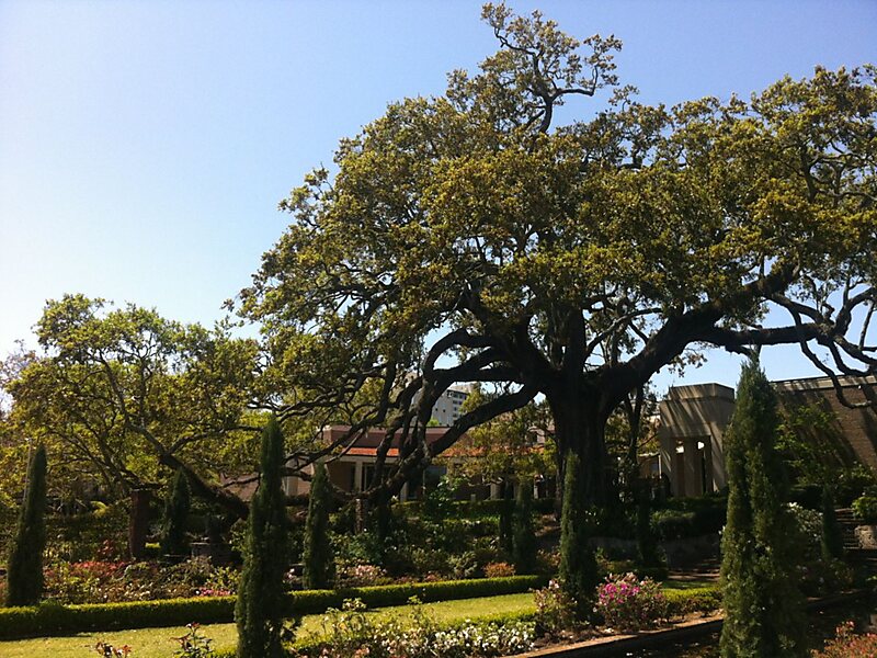 Cummer Museum Of Art And Gardens In Jacksonville Florida Usa