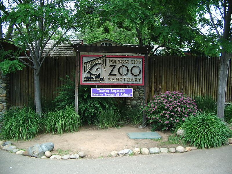 Zoo 16. Город Zoo. Фолсом город. Zoo City.