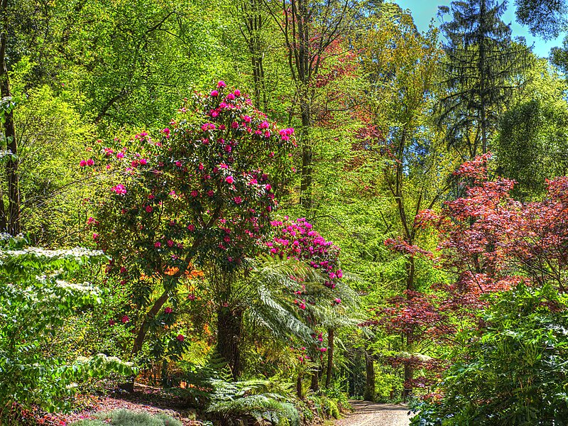 Alfred Nicholas Memorial Gardens