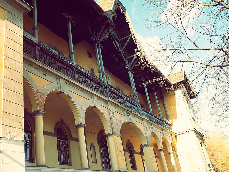 Institut psychiatrique de Lipótmező