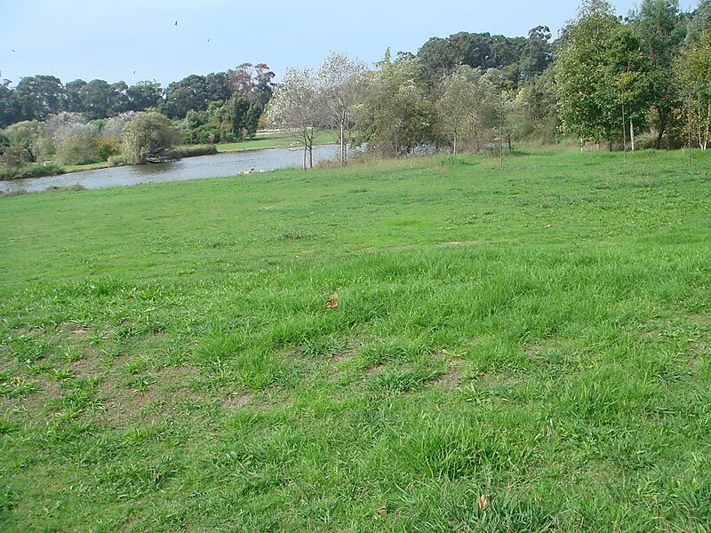 Parque da Cidade