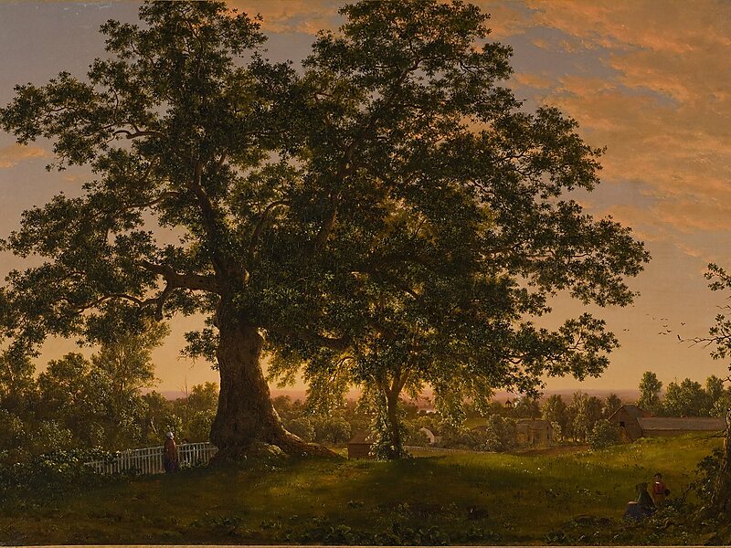 Florence Griswold Museum