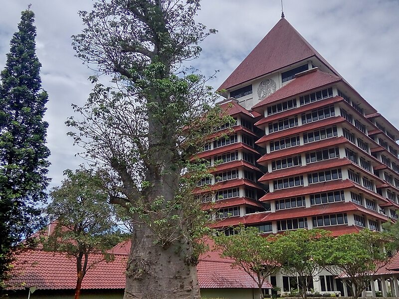 Universidade da Indonésia