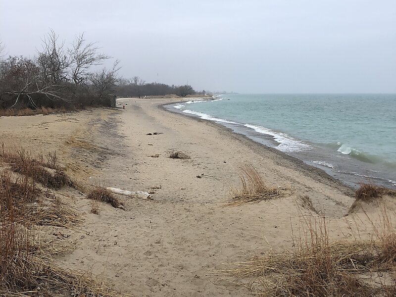 Illinois Beach State Park