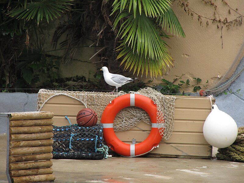 Les Terres de Nataé