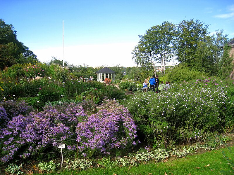Botanischer Garten Oslo