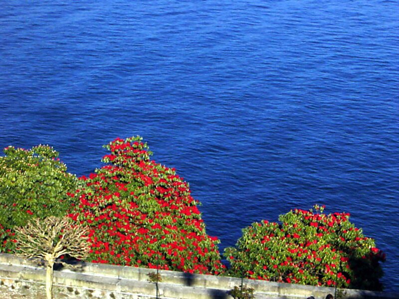 Botanical Garden Of Naples In Naples Italy Sygic Travel