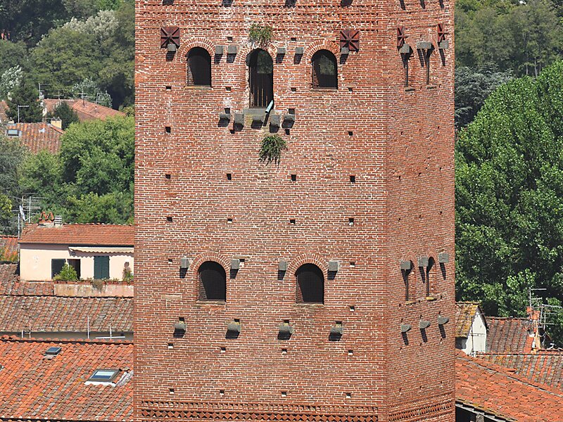 Guinigi Tower