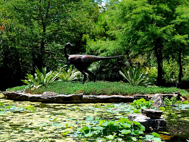 Zilker Botanical Garden In Austin Texas United States Sygic Travel