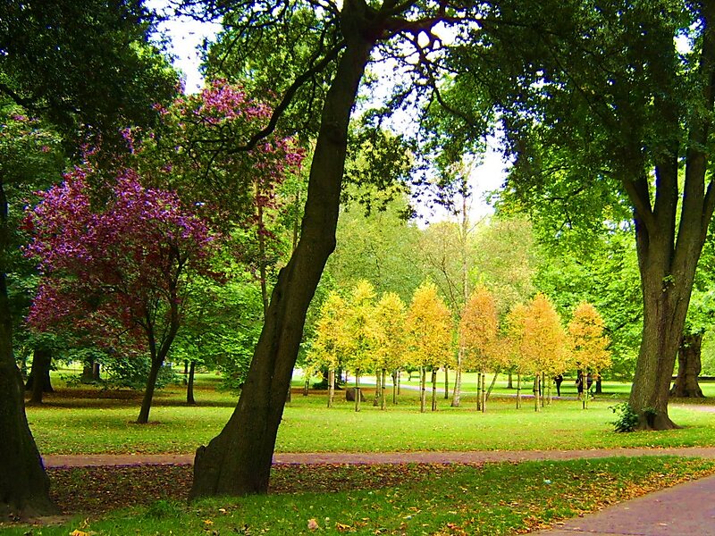 Bute Park